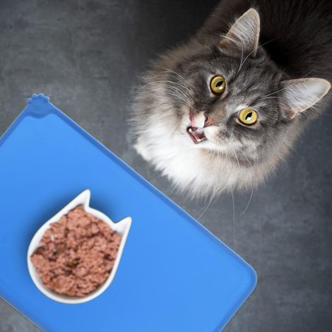 Tapis d’Alimentation pour Chat Chien Antidérapant Tapis Gamelle Chien en Silicone Tapis de Nourriture pour Animaux de Compagnie Tapis de Plateau de Bol Imperméable 48x30cm,bleu (1/5)
