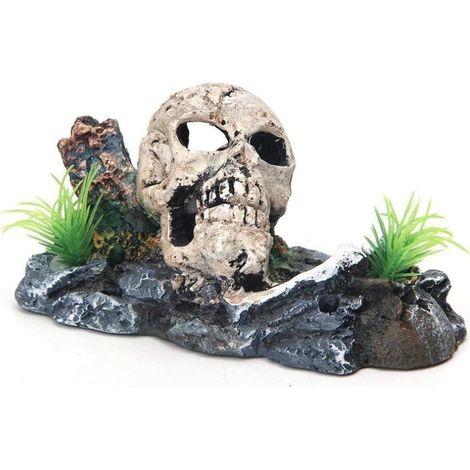 Décoration fantaisie pour aquarium Squelette squelette aquarium décoration aquarium décoration lézard serpent araignée scorpion grotte aquarium décoration aménagement paysager squelette crâne 13.587cm (1/2)