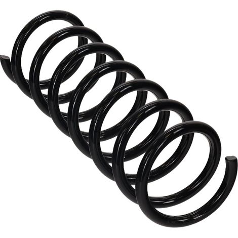 Suspension arrière à ressort rapide FT01898 (1/4)