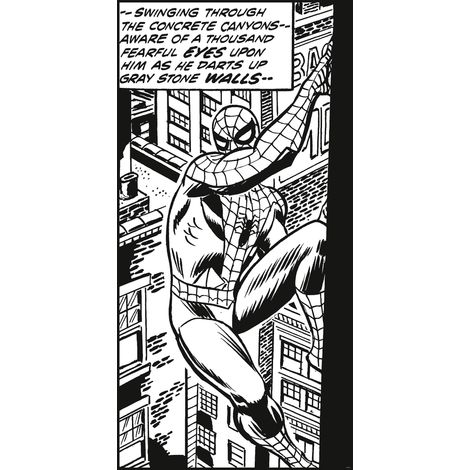 Papier peint panoramique vintage & retro Spider-Man Classique Escalade (1/4)