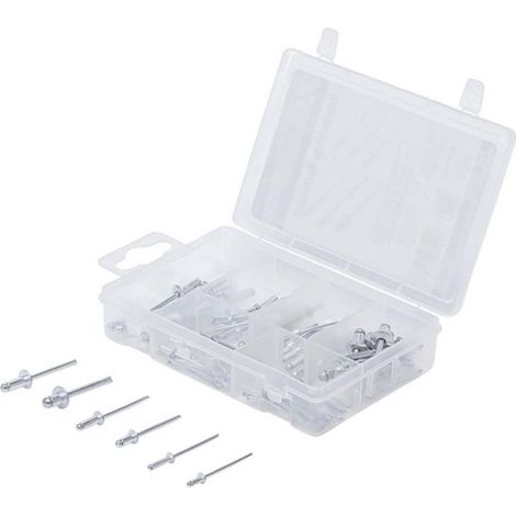 Assortiment de Rivets Pop D.2,4-4,8 mm - 70 pcs - Acier Résistant - Fixation Facile et Durable - D-Work (1/5)