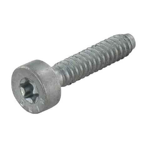Vite a testa cilindr IS-D 5x24 STIHL 90754784159