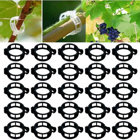 Plant Support Clips de Jardin Tomate Clips Support, Clips de Support pour Plantes de Jardin Clips pour Les légumes Tomate Vigne tiges de Croissance Droit et Plus Sain (100, Noir)
