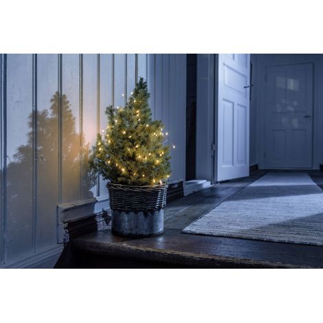 Micro guirlande lumineuse Konstsmide Micro LED Lichterkette Firecracker 1465-860 N/A ambré N/A