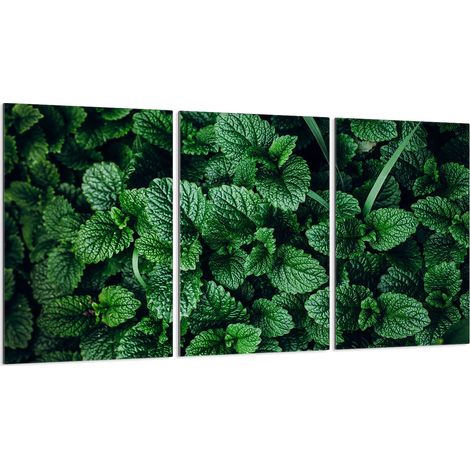 Glasschutzplatte für Herd 3x30x52 (1/5)