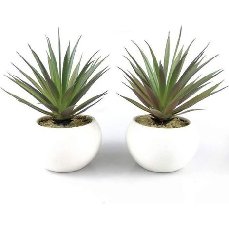Plante Succulente Artificielle en Pot - Décoration Intérieure et Extérieure, Facile à Entretenir, 8,9 x 17 cm (1/3)