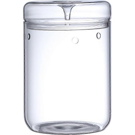 Terrarium en verre micro-paysage avec couvercle récupérateur de rosée, vase à bonsaï en verre, bouteille écologique microscopique L (1/5)