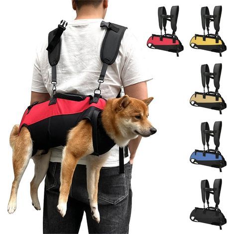 M-Handy Haustiertragetasche für vierbeinige Haustiere, ideal für kleine Rassen und Tierliebhaber. (1/5)