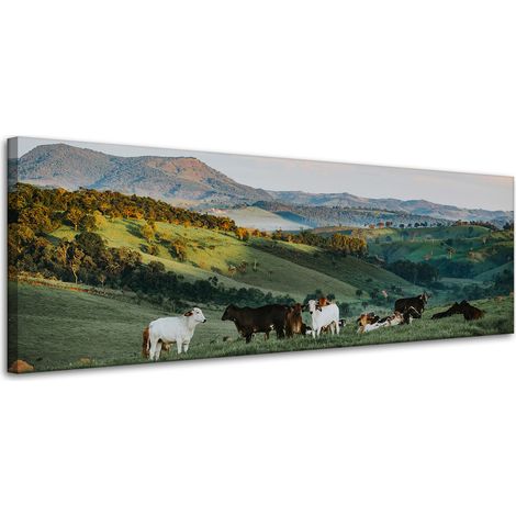 Leinwanddruck Natur, Weide und Kühe 120x40