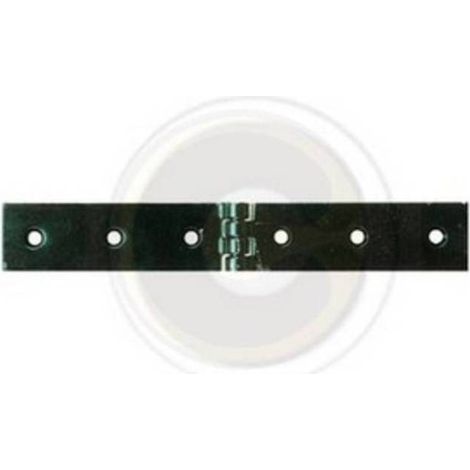 12 x CERNIERA A LIBRETTO ACCIAIO P/CASSE 160 X 30 MM