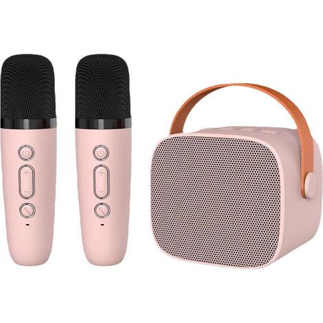 Enceinte karaoké Bluetooth avec 2 microphones sans fil - Enceinte HiFi portable - Rose