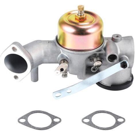 Carburateur avec joint pour moteur 12 CV (références 491031, 490499, 491026 et 281707). (1/5)