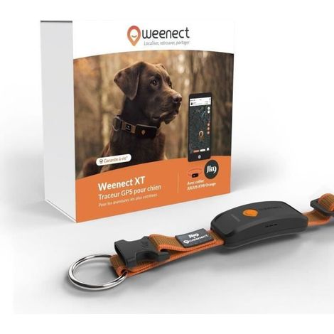Collar GPS para perro - WEENECT Perro XT - Antena XL - Impermeable - Collar Julius-K9 - Funciona con suscripción - Naranja (1/5)