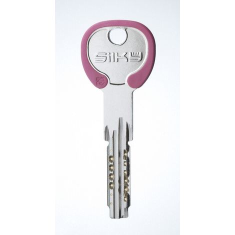 SILCA WA1RDZ CHIAVE PROFILO SILKY OTTONE Q.TA 10