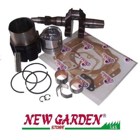 Kit revisione cilindro pistone albero motore DIESEL LOMBARDINI LDA100 INDUSTRIALE