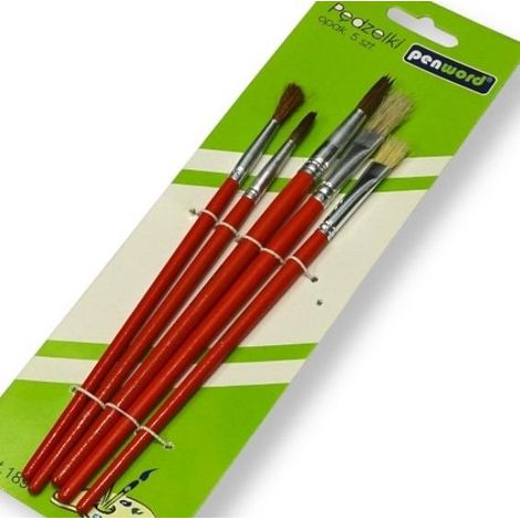 Set di 5 pennelli