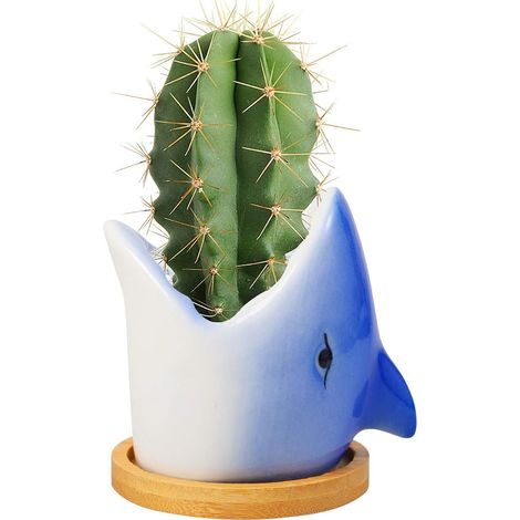 Pot de Plantes Céramique, Animal Succulentes Pots Cactus Succulente Plante Pot, Décoration Pot Plante Intérieur pour Bureau, Maison - Requin (1/5)