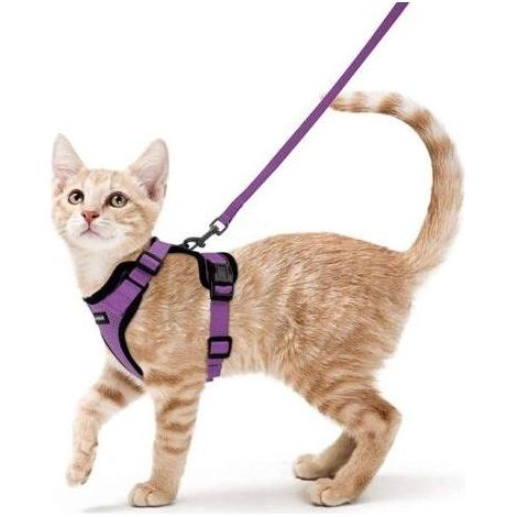 Katzengeschirr, kleine Hundeleine, verstellbares Kätzchengeschirr, lila XS, reflektierendes Katzengeschirr-Halsband, atmungsaktive Weste für Kaninchen, Europäisch Kurzhaar, Maine Coon, Perser, mit obe (1/5)