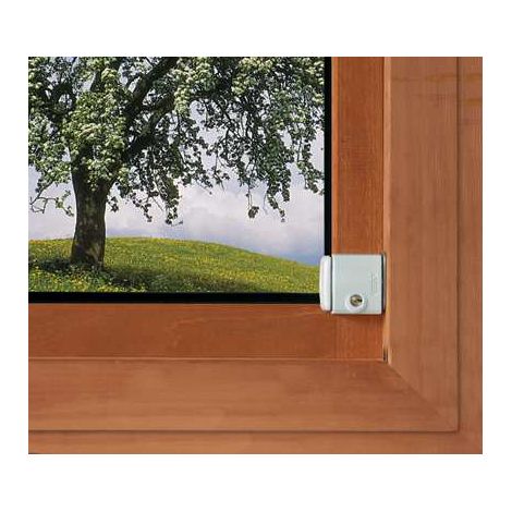 Verrou de velux FTS 3002 Blanc (1/5)