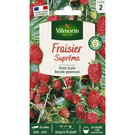 Vilmorin – Fraisier 4 saisons suprême – Graines de potager – Exposition ensoleillée – Semis de mars à juin – Récolte de juin à octobre