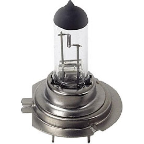 10x Ampoule H7 24V 70W px26d
