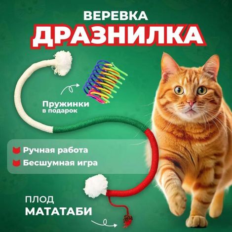 Katzenkauseil mit strapazierfähiger Feder, verschiedene Farben, 4er-Pack.