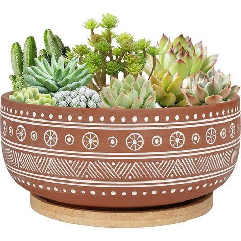 pot Pot de fleurs rond en terre cuite de 20 cm avec trou de drainage et plateau en bambou, pour plantes d'intérieur (1/5)