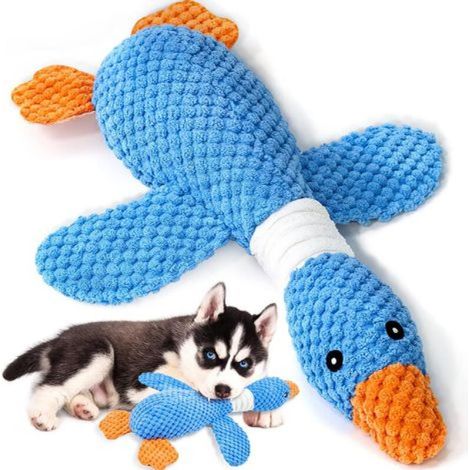 Jouet pour chien , une peluche oie bicolore de 30 cm. Ces peluches à poils effilochés émettent des sons et sont parfaites pour les chiens. (1/4)