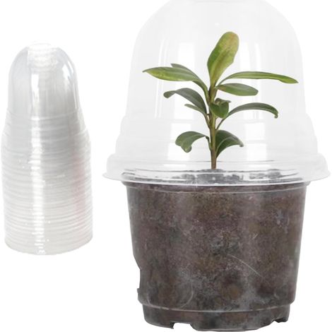 Pots de semis transparents, bacs de plantation avec couvercles en forme de dôme et trous de drainage pour le repiquage des semis, paquet de 10 (1/5)