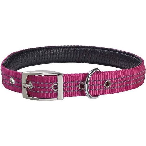 Collare in nylon fucsia modello Renfort per cani: Collare fucsia 2,5 x 42-70 cm