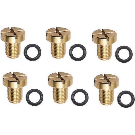 Vis de purge du vase d'expansion du liquide de refroidissement compatible avec les modèles E36, E39, E46, E90, X1, X3, Z3, Z4, 325i et 525i. (1/2)
