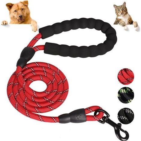 Laisse pour Chien Kambo - Longueur de Corde 1,5 m - Rouge - La poignée en mousse (1/3)