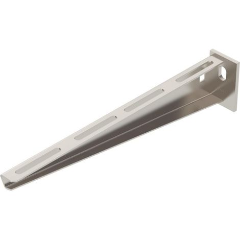 OBO Bettermann Wand- und Stielausleger mit angeschweißter Kopfplatte B310mm Edelstahl, rostfrei A2 1.4301 blank,..., 6421032 (1/3)