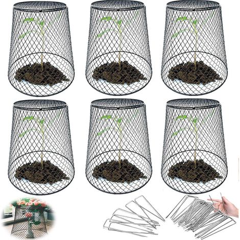 Cloches Grillagées pour Plantes 6 Pièces Cage de Protection Métallique de Jardin (1/5)