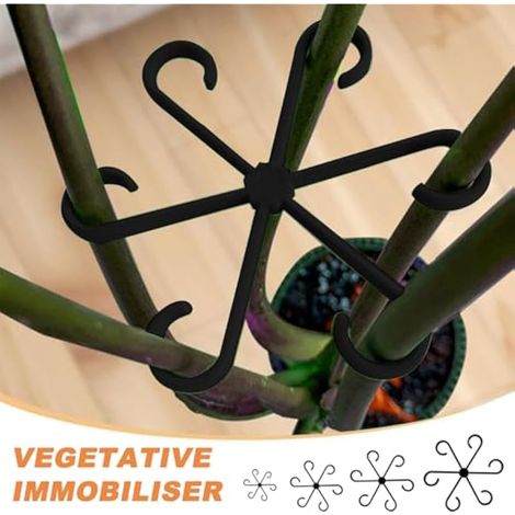 Support pour tiges de plantes (8 pièces), support pour plantes grimpantes, supports pour plantes grimpantes d'intérieur, clips pour plantes grimpantes, supports pour Alocasia et Monstera, crochets de (1/3)