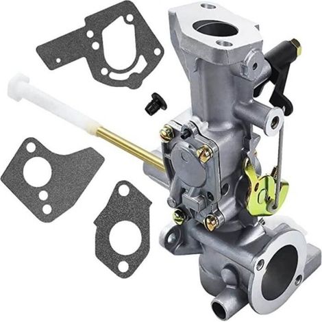 498298 Carburateur pour Briggs & Stratton 692784 495951 495426 112202 112232 134202 137202 133212 130202 5HP (1/4)