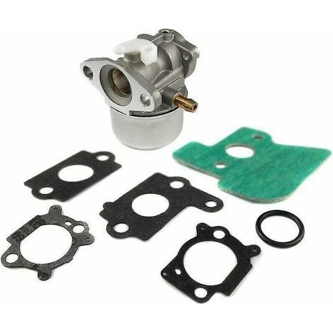 Briggs & Stratton 790120 694202 693909 692648 Briggs & Stratton Vergaser Thsinde (1/5)