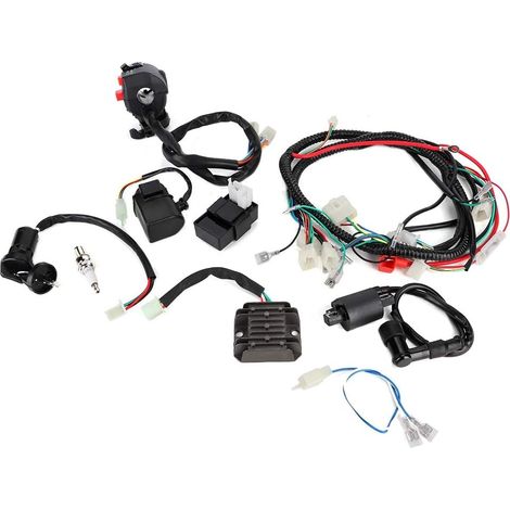 Assemblage CDI de Fil de Faisceau de Câblage électrique pour Vélo QUAD ATV 200-300cc (1/5)