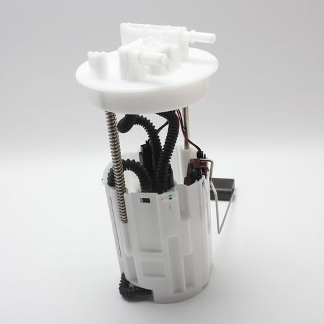 30003632 F01R00S110 F01R00S210 10259876 are suitable for MG3 fuel pump assemblies. (1/4)