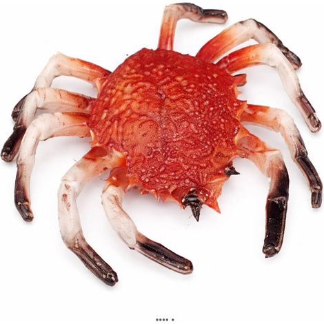 Araignee de mer artificielle en Plastique soufflé grande L 330x210 mm (1/3)