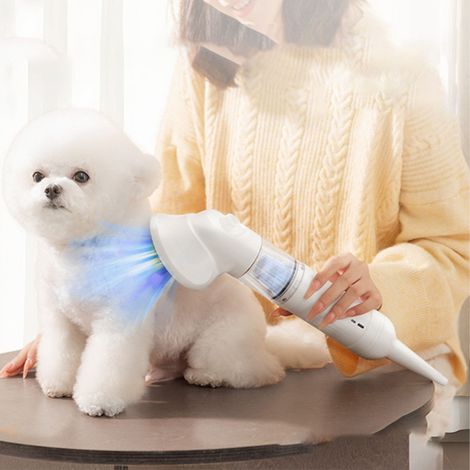 Dispositivo combinado totalmente automático para el cuidado y la eliminación del pelo de mascotas que elimina el pelo de gato de alfombras y camas.
