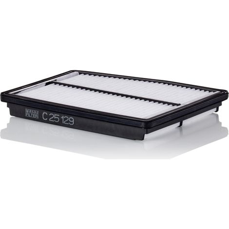 Luftfilter C25129 MANN
