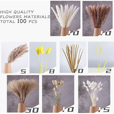 Gazon Artificiel Pampas Décoratif Bouquet Fleurs Séchées pour Vases Type 1 - 110 cm - Naturel et Blanc - [Lot de 100]