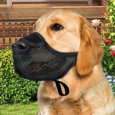 Museruola per cani - Protezione anti-morso regolabile Protezione per la bocca anti-leccamento per animali domestici Rete morbida per adulti, amanti degli animali, famiglie e animali domestici (1/4)