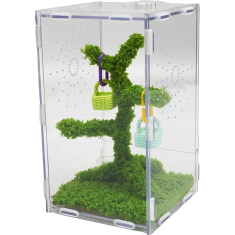 Kit Terrarium pour Araignées Sauteuses - Habitat Acrylique Ventilé 22x13x12 cm avec Pince Nourriture et Décor - Convient aux Reptiles et Petits Animaux Arboricoles (1/5)