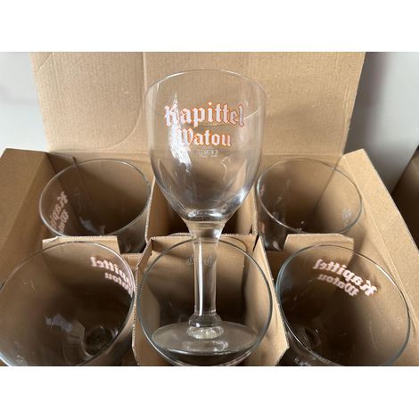 Lot de 6 verres à bière Kapittel Watou - 25 cl - Neufs