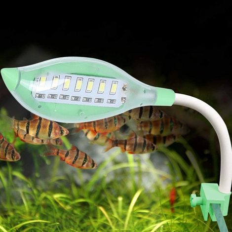 Mini lampe LED USB pour aquarium, à pince, pour tortues et poissons. (1/5)