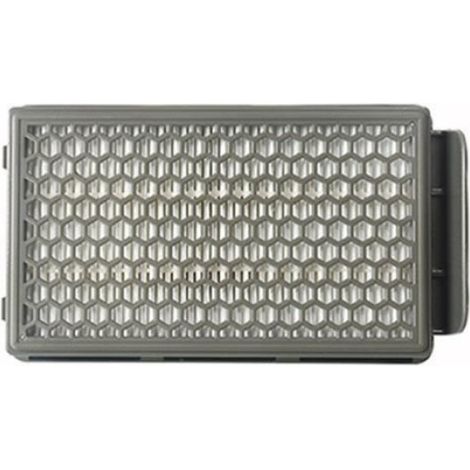 Filtres HEPA Pour Rowenta RO3715 RO3795 RO3798 Aspirateur Compact Power Accessoires (1/4)