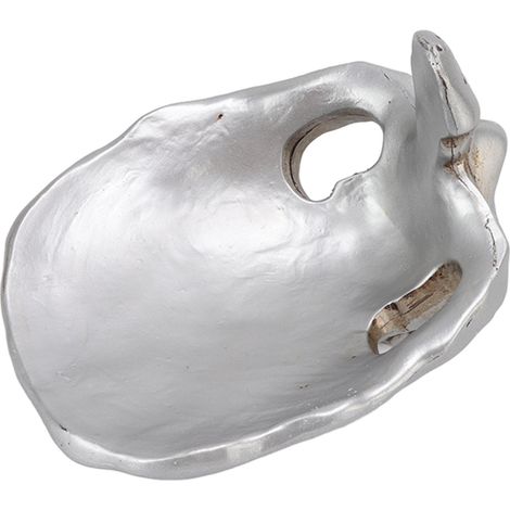 Présentoir à verres décoratif en forme de crâne, en résine synthétique, pour exposer des verres, pour le bureau à domicile (1/5)