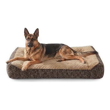 Panier Chien Grande Taille XXL Orthopédique, Coussin Chien Dehoussable Lavable, Canapé pour Chiens Antidérapant Velours Floconné Doux, Lit Chiens Soutien Extra Épais (1/5)